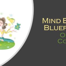 Mind Body Blueprint Online Course Basic Membership
