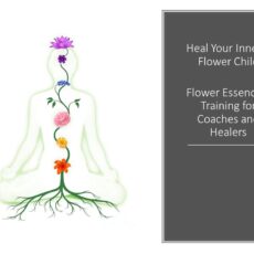 Flower Essence Therapy Training Course